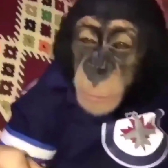 Meet your Posher, Andrew - Picture 1 of 1